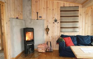 TV, fireplace, DVD player