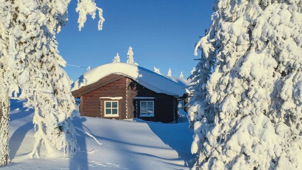 A wooden cabin surrounded by snow-covered trees. - Amazing home in Sjusjøen with sauna (Sjusjøen)