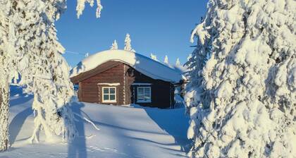 Amazing home in Sjusjøen with sauna