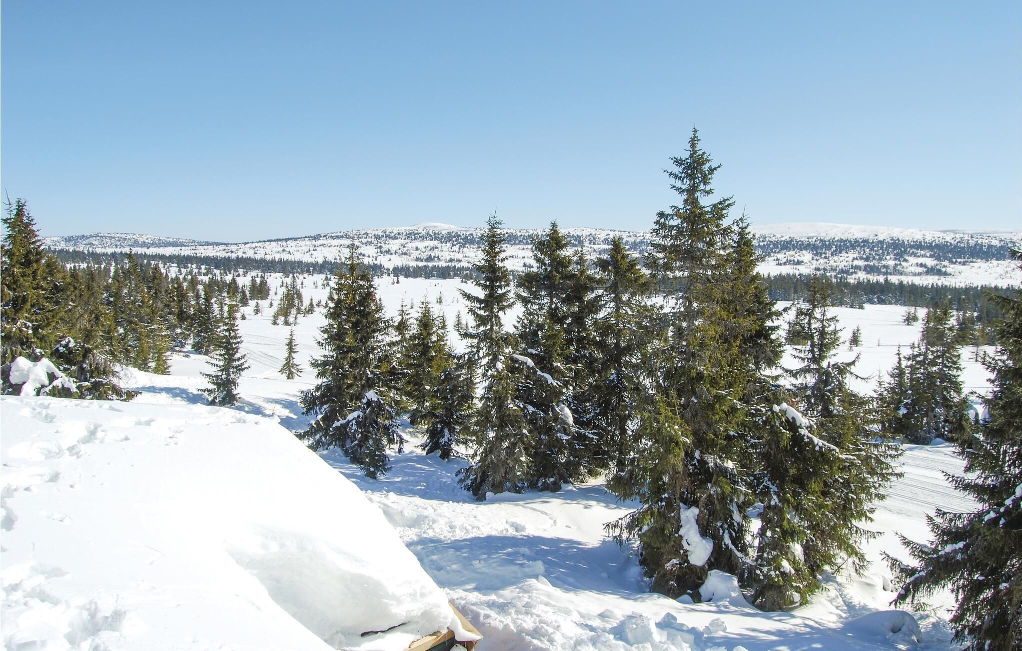 A snowy landscape with dense evergreen trees and a clear blue sky.