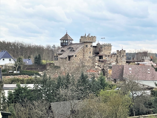 Una estructura que recuerda a un castillo, con múltiples torres y almenas, rodeada de árboles y otros edificios.