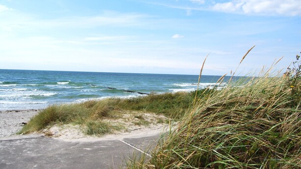 A coastal road with grassy dunes and the ocean in the background. - Hitthim apartment rental - Apartment harbor view (Insel Hiddensee)