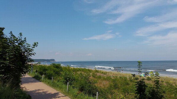 Playa en los alrededores y camastros 