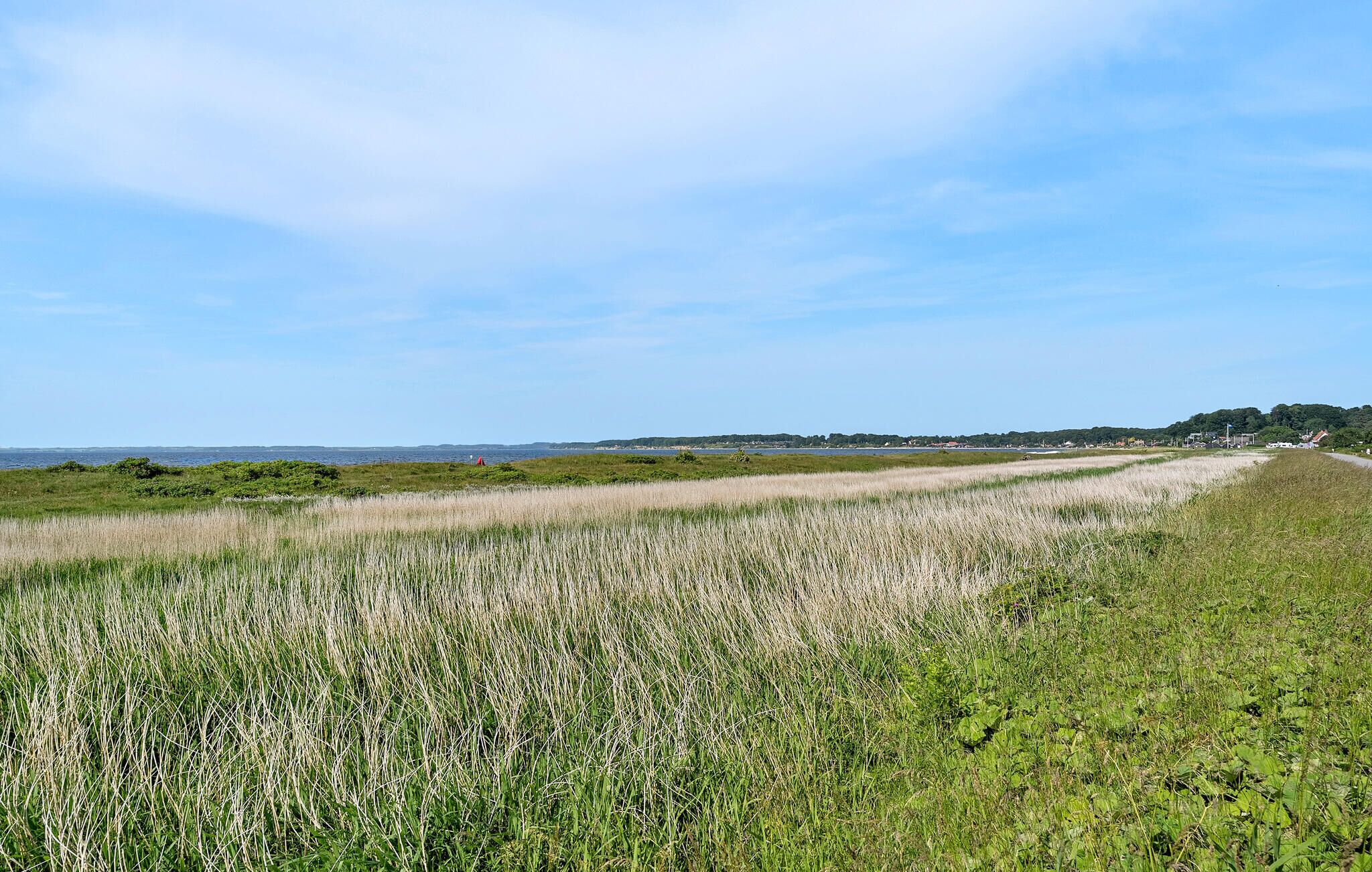 A coastal landscape with a grassy field, a clear sky, and a distant shoreline.