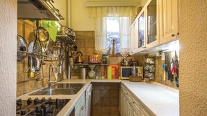 A compact kitchen with a gas stove, a sink, and various utensils and appliances. - Cozy apartment in Rijeka with WiFi (Rijeka)