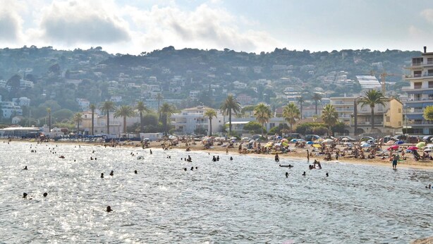 Uma praia com pessoas nadando e tomando sol, palmeiras e edifícios ao fundo.