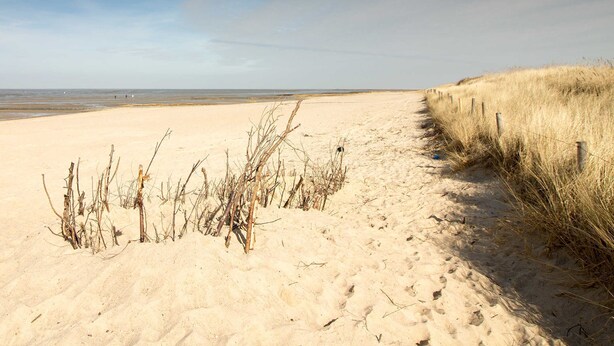 Une plage de sable avec une végétation clairsemée et un ciel dégagé.