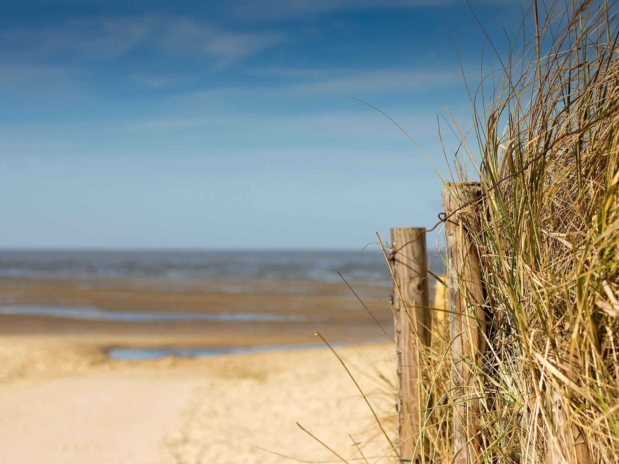 A wooden fence with grass in the foreground, leading to a beach with calm water.
