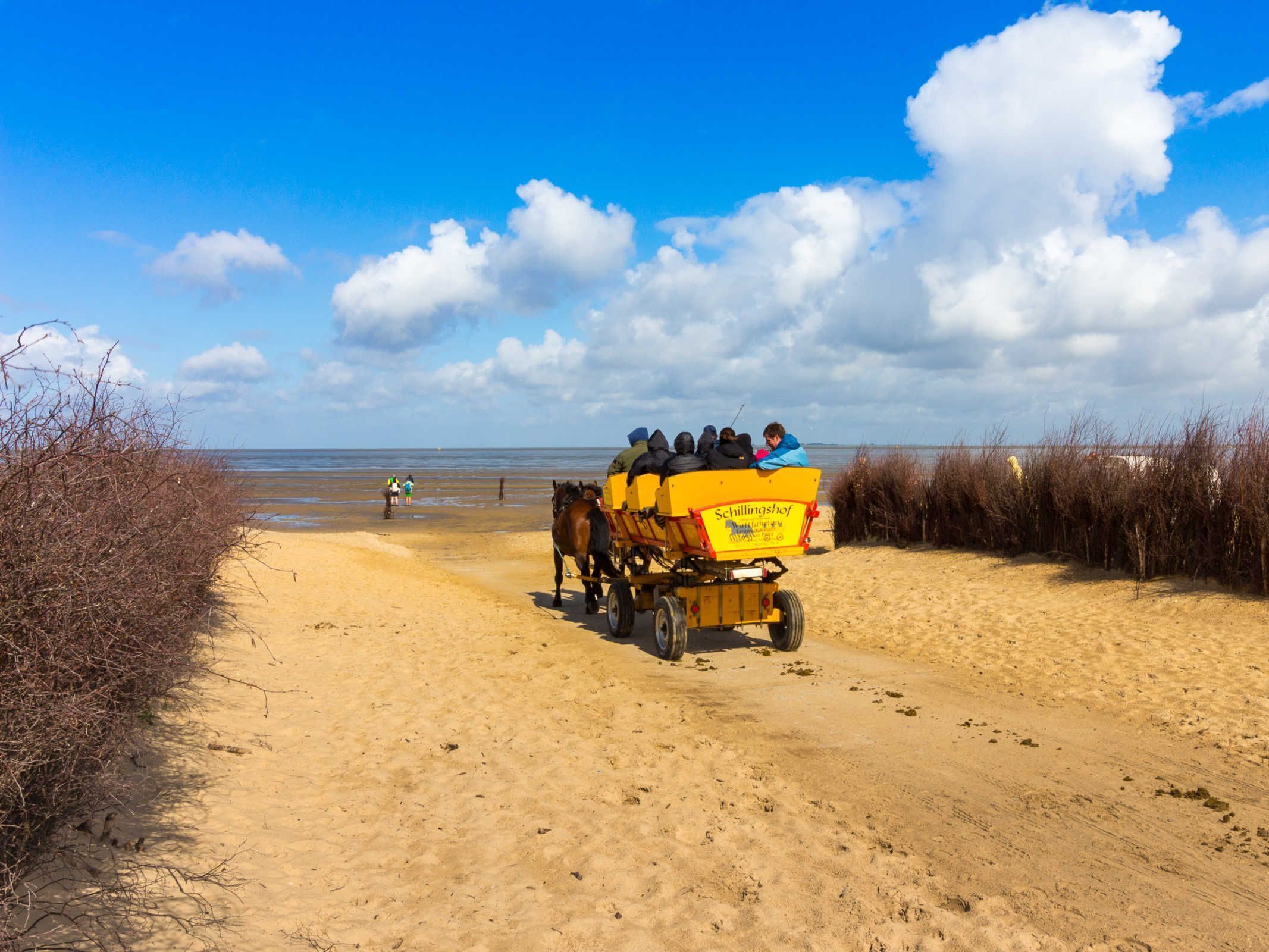 A sandy beach path with a horse-drawn carriage labeled "Schillingshof" carrying passengers.
