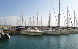 Marina - Lovely home in Rosignano Marittimo LI (Rosignano Marittimo LI)