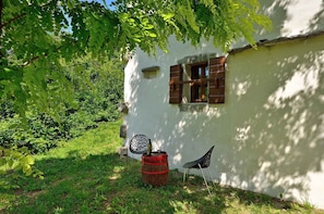 Terrace/patio - Holiday home in a quiet location for nature lovers (Buzet)