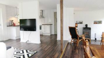 Fireplace, Netflix, DVD player, streaming services