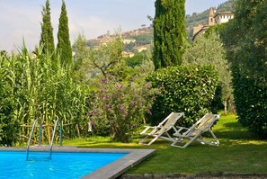 Pool - Holiday home surrounded by olive groves and pine forest (Cortona)