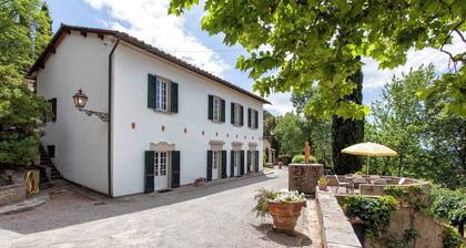 Maison de vacances entourĂ© d'oliviers et de forĂȘt de pins