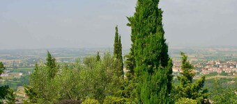 Holiday home surrounded by olive groves and pine forest
