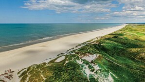 Une plage avec un rivage sablonneux et des dunes verdoyantes.