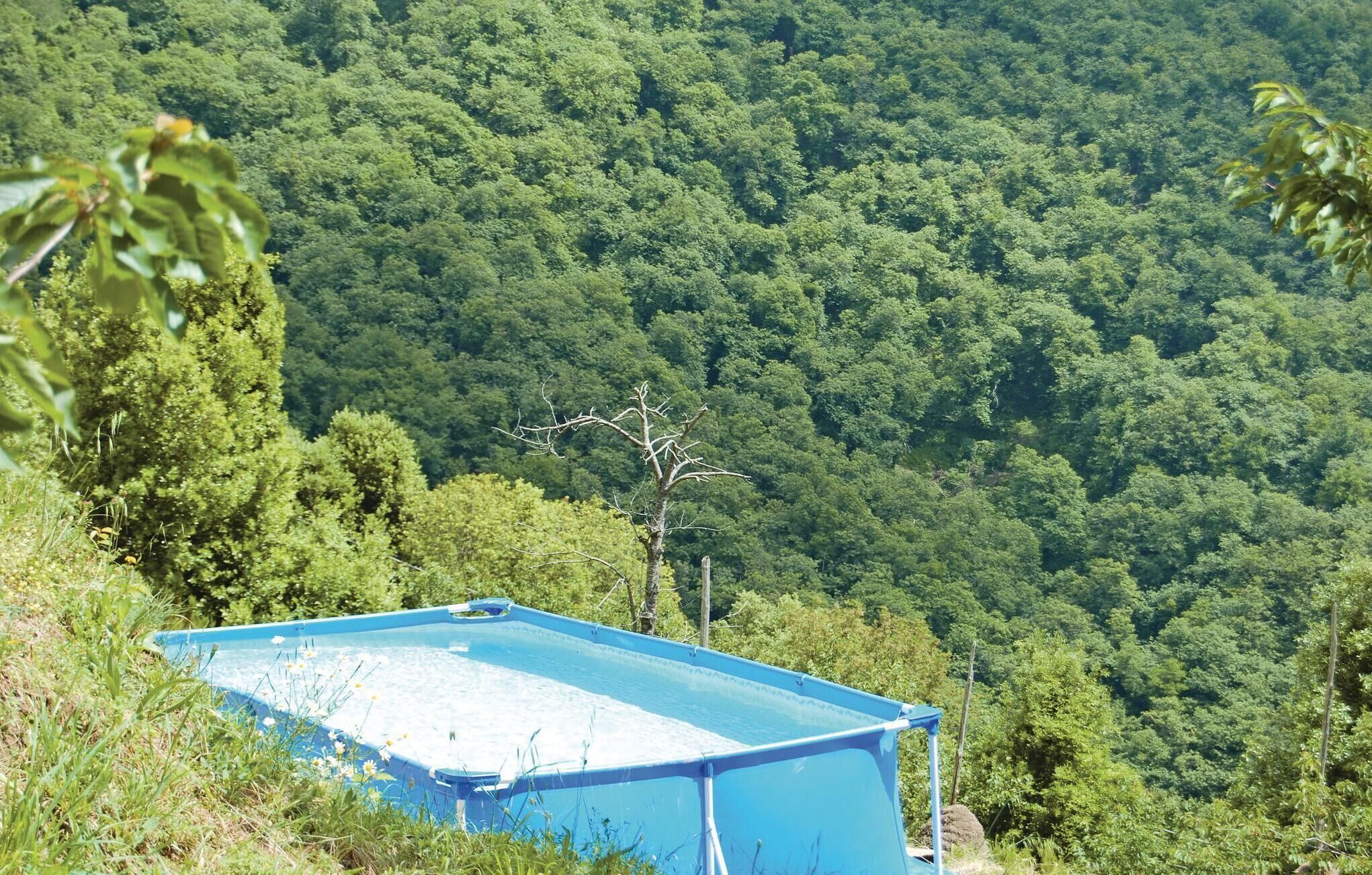 Ein blauer Pool, umgeben von viel Grün und Bäumen.