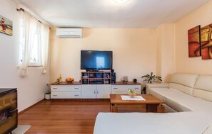 Fernseher