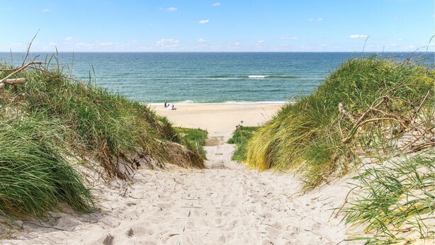 A sandy beach path leading to the ocean with grassy dunes on either side. - 2 bedroom nice home in Hvide Sande (Hvide Sande)