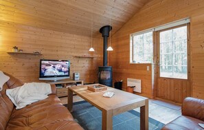 Tv, eldstad och en stereo
