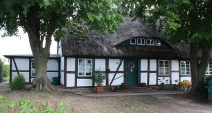 Appartement 1 - Landhaus Damerow 1