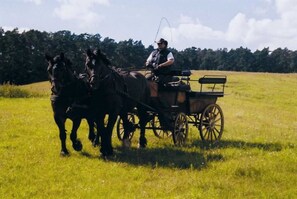 Nicht klassifiziertes Bild, 5 von 10, Schaltfläche