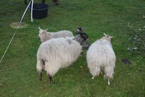 Unclassified image, 3 of 10, button