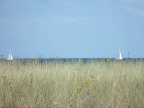 Unclassified image, 5 of 11, button