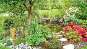 Um jardim com lago, diversas plantas e cerca de madeira.
