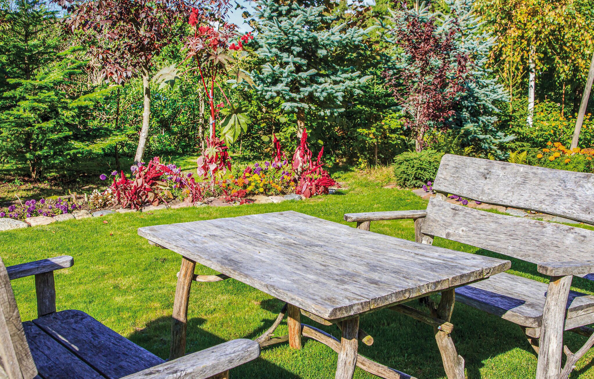 Een rustieke houten picknicktafel en bankje in een weelderige tuin met verschillende planten en bomen.