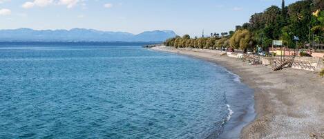 بالقرب من الشاطئ