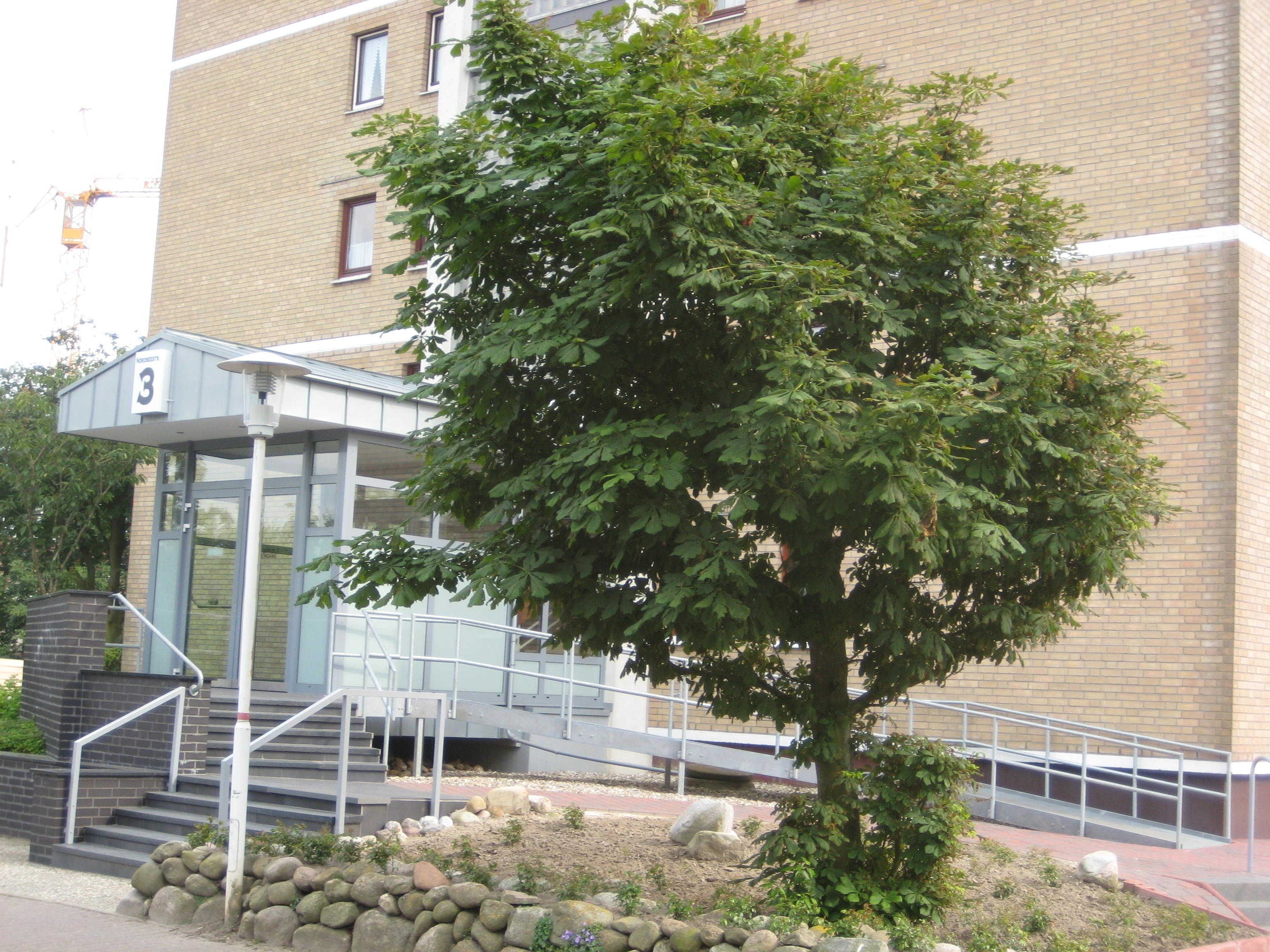 Detalle del exterior