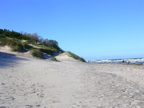 Nära stranden