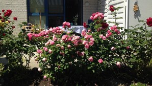 A building with a brick facade, a covered patio area, and a garden with pink roses. - Baltic Sea residence, App. 2 - Biting Resence 2-Zi.-Fewo., EC (Neustadt in Holstein)