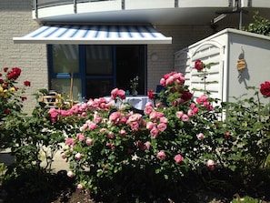 A building with a brick facade, a covered patio area, and a garden with pink roses. - Baltic Sea residence, App. 2 - Biting Resence 2-Zi.-Fewo., EC (Neustadt in Holstein)