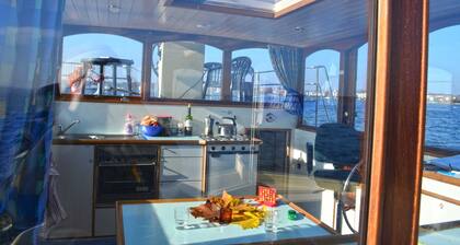 Cormorant 940 - Kuhnle-Tours Hafendorf Müritz