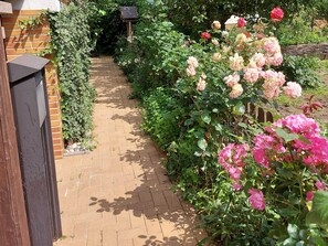 Unclassified image, 4 of 13, button