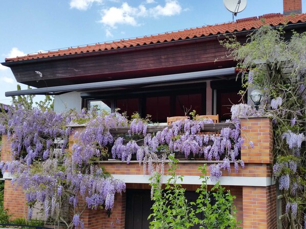 Unclassified image, 1 of 13, button