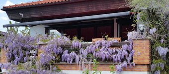 Apartment Pottery and Sea - Property 32866 - Apartment pottery and sea