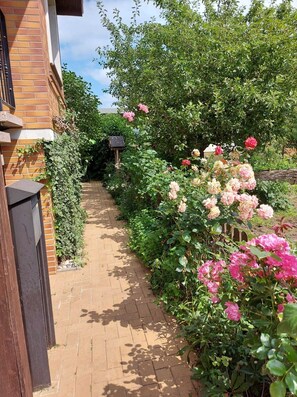 Unclassified image, 4 of 13, button