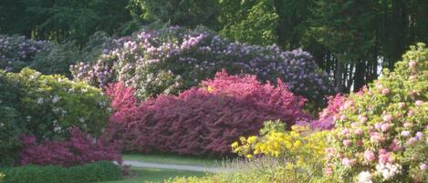 المنطقة المحيطة بالمنشأة