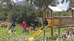 A playground with a yellow slide and climbing structures, surrounded by trees and flowers. - 6 bedroom beautiful home in Orosei NU (Orosei NU)