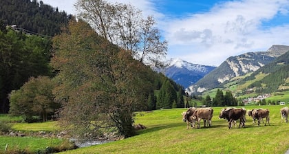 Apart LÄRCHE - Bauernhof VALRUNZHOF - direkt am SEILBAHNCENTER