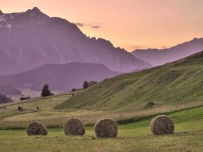 Luokittelematon kuva, 3 kautta 59, painike