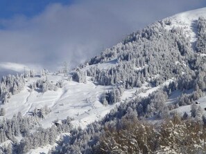 Luokittelematon kuva, 2 kautta 59, painike