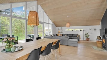 Fernseher, Kamin, DVD-Player