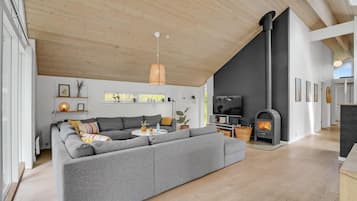 TV, fireplace, DVD player