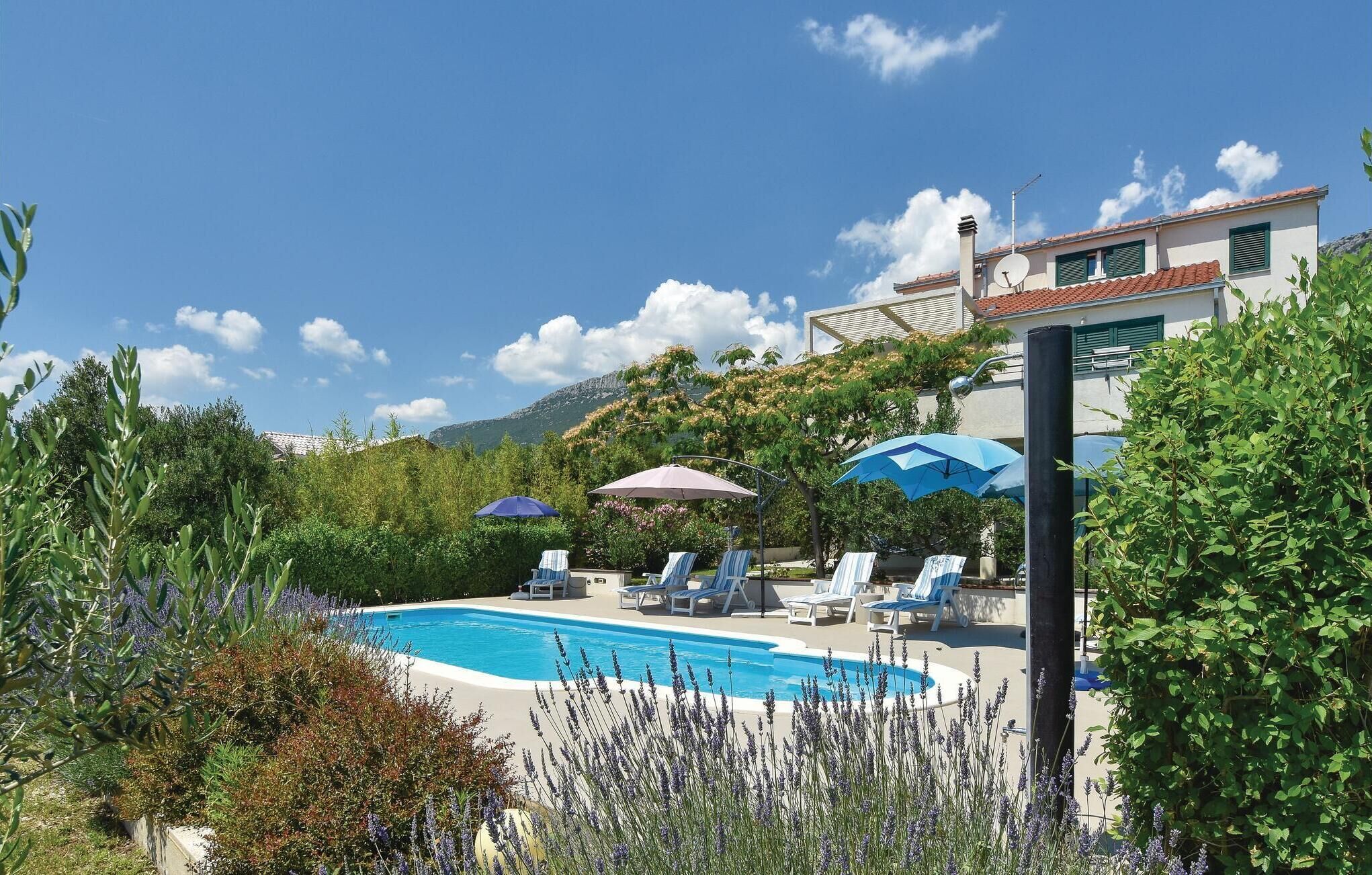 Un espace piscine doté de chaises longues et de parasols, entouré de verdure et avec une chaîne de montagnes en toile de fond.