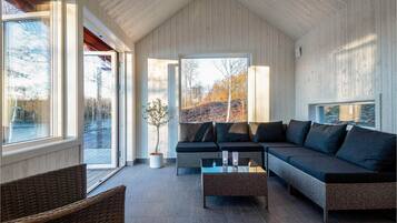 Tv, eldstad och dvd-spelare