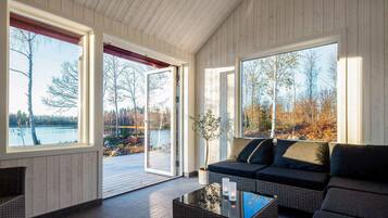 Tv, eldstad och dvd-spelare